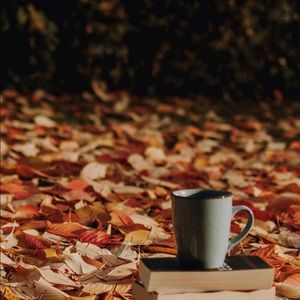 Meet your Posher, Chanel